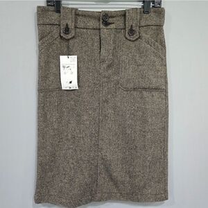 🐢 Zara Classic Wool and Silk Skirt.  Size 8/L